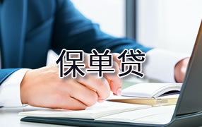 怒江保单贷