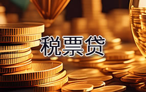 怒江税票贷
